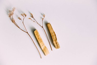Doğal tütsü, Beyaz Bilge ve Palo Santo. Güney Amerika 'nın kutsal ağacı, renkli kare fotoğraf. Beyaz bilge ve beyaz arka planda Palo Santo..