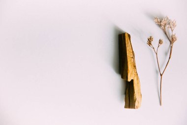 Doğal tütsü, Beyaz Bilge ve Palo Santo. Güney Amerika 'nın kutsal ağacı, renkli kare fotoğraf. Beyaz bilge ve beyaz arka planda Palo Santo..