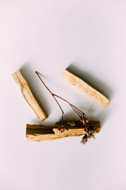 Doğal tütsü, Beyaz Bilge ve Palo Santo. Güney Amerika 'nın kutsal ağacı, renkli kare fotoğraf. Beyaz bilge ve beyaz arka planda Palo Santo..