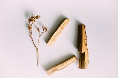 Doğal tütsü, Beyaz Bilge ve Palo Santo. Güney Amerika 'nın kutsal ağacı, renkli kare fotoğraf. Beyaz bilge ve beyaz arka planda Palo Santo..