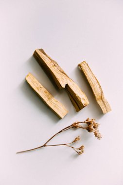 Doğal tütsü, Beyaz Bilge ve Palo Santo. Güney Amerika 'nın kutsal ağacı, renkli kare fotoğraf. Beyaz bilge ve beyaz arka planda Palo Santo..