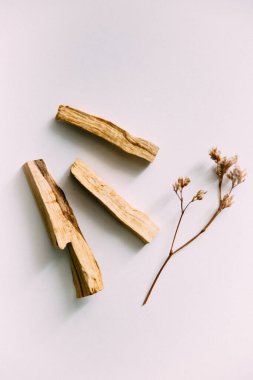Doğal tütsü, Beyaz Bilge ve Palo Santo. Güney Amerika 'nın kutsal ağacı, renkli kare fotoğraf. Beyaz bilge ve beyaz arka planda Palo Santo..