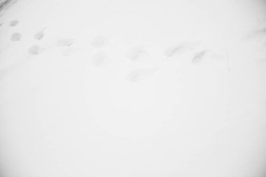 Soyut kar arkaplanı, siyah beyaz gürültülü film bulanık fotoğraf, minimalizm ve film manzarası