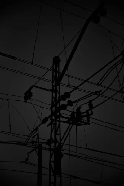 Black and white urban landscape. Electric wiring of trains and trains close-up