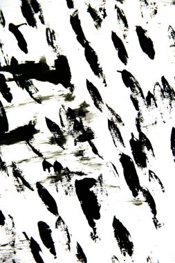 Beyaz arkaplanda soyut siyah grafikler, lekeler ve çizgiler, lekeler ve sıçramalar