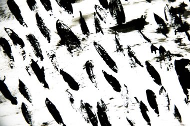 Beyaz arkaplanda soyut siyah grafikler, lekeler ve çizgiler, lekeler ve sıçramalar