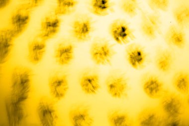 soyut sarı-siyah arkaplan, beyaz arkaplanda güzel ve bulanık desen