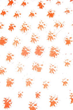 Turuncu akrilik fırça darbesi beyaz arka planda izole edilmiş.