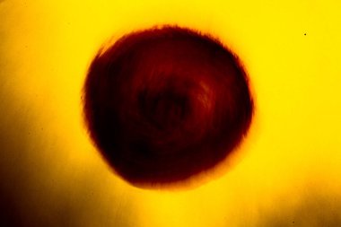 Sarı zemin üzerinde soyut siyah ve kırmızı daire, bulanık ve bulanık sanat arkaplanı