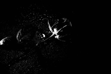  Islak yüzeyde yemyeşil gül, yağmurda ıslak gül