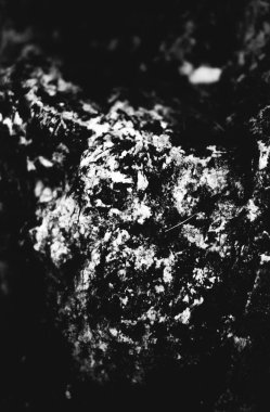 soyut kaya arkaplanı, dağlar ve doku elementleri taşların yakın çekim, siyah ve beyaz dokusu