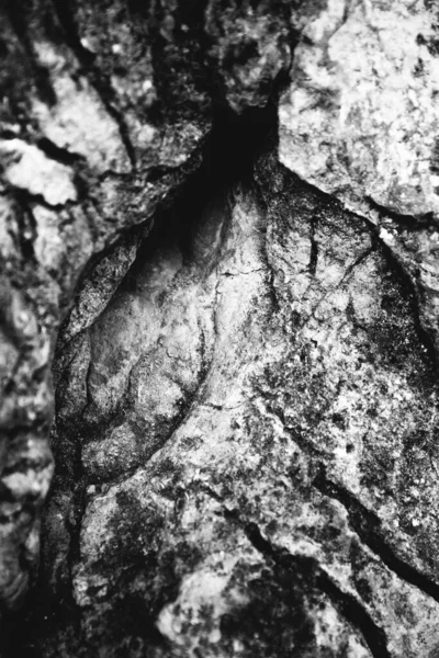 black and white stone texture, rocks and mountains close-up