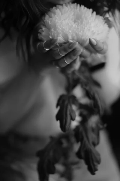 Details Body Branch Plant Fuzzy Delicate Film Black White Photo — 스톡 사진