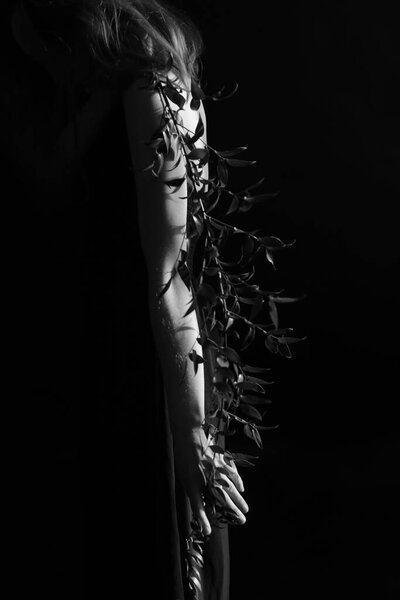 Details of the body and the branch of the plant, fuzzy and delicate film black and white photo