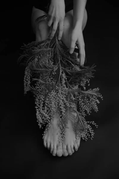 植物的躯体和分枝的细节 模糊细腻的黑白照片 — 图库照片