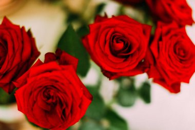 Kırmızı güller buketi, soyut çiçek desenli, klasik çiçek arkaplanı.