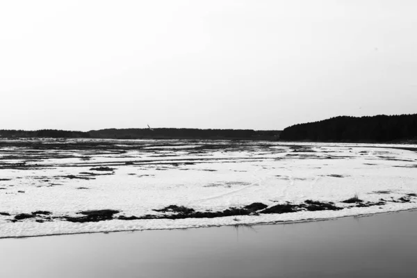Kışın Siyah Beyaz Gölet Klasik Film Fotoğrafı — Stok fotoğraf