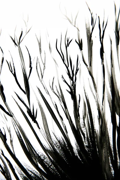 Черные Штрихи Штрихи Линии Пятна Белом Фоне Абстрактный Черно Белый — стоковое фото