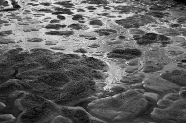 Su kirliliği, okyanusta beyaz köpük ve yakın çekim.