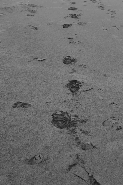 Voetafdrukken Een Zandstrand Zwart Wit Kader — Stockfoto