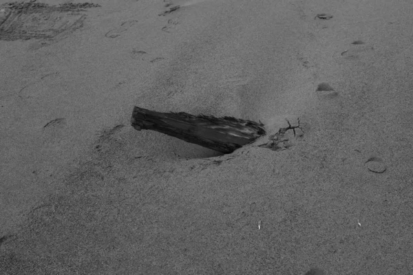 Πατημασιές Αμμώδη Παραλία Ασπρόμαυρο Πλαίσιο — Φωτογραφία Αρχείου