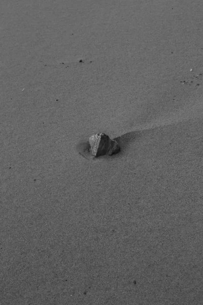 Rocce Ciottoli Una Spiaggia Sabbia Bianco Nero Paesaggio Sabbia Minimalista — Foto Stock