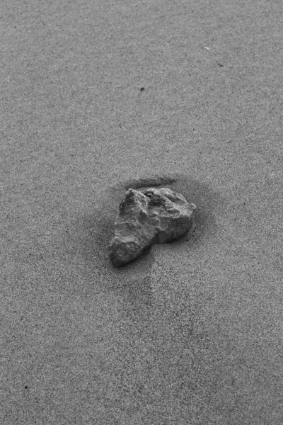Βράχια Και Βότσαλα Μια Αμμώδη Παραλία Μαύρο Και Άσπρο Μινιμαλιστικό — Φωτογραφία Αρχείου