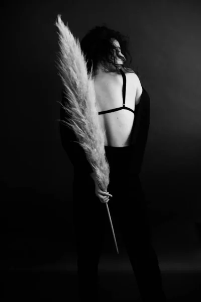 暗い背景のドライフラワーの羽や裸の背中を持つ女の子 — ストック写真
