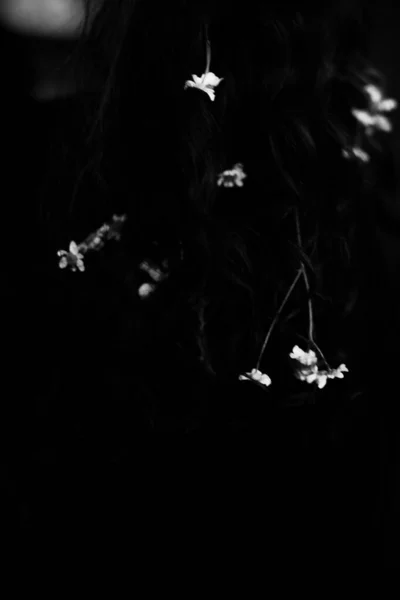 Bir Kadının Üzerindeki Küçük Papatya Çiçekleri Karanlık Sanat Soyut Portresi — Stok fotoğraf