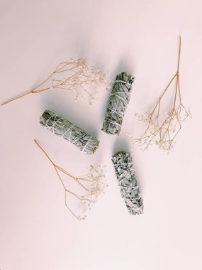 Doğal tütsü, Beyaz Bilge. Güney Amerika 'nın kutsal ağacı, renkli kare fotoğraf. Beyaz arka planda beyaz bilge..