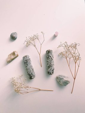 Doğal tütsü, Beyaz Bilge ve Palo Santo. Güney Amerika 'nın kutsal ağacı, renkli kare fotoğraf. Beyaz bilge ve beyaz arka planda Palo Santo..