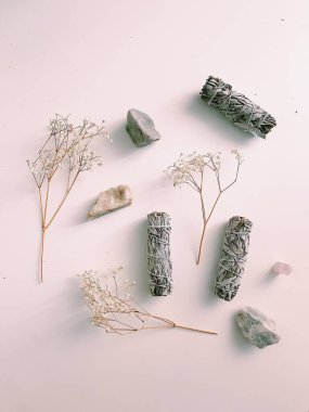 Doğal tütsü, Beyaz Bilge. Güney Amerika 'nın kutsal ağacı, renkli kare fotoğraf. Beyaz arka planda beyaz bilge..