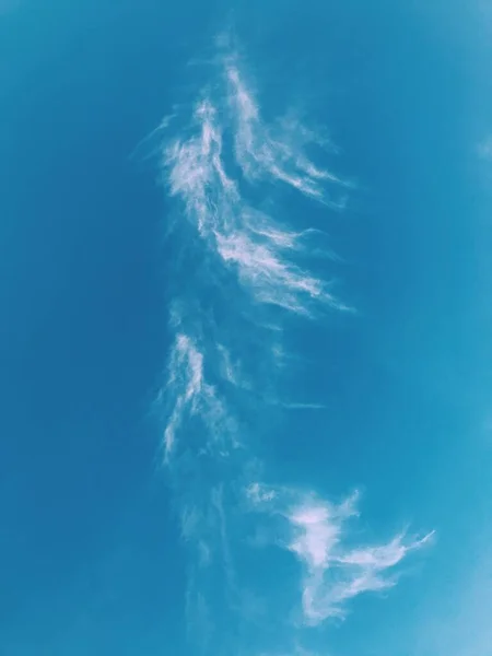 Natural Summer Background Sky Clouds Trees — Stock Photo, Image