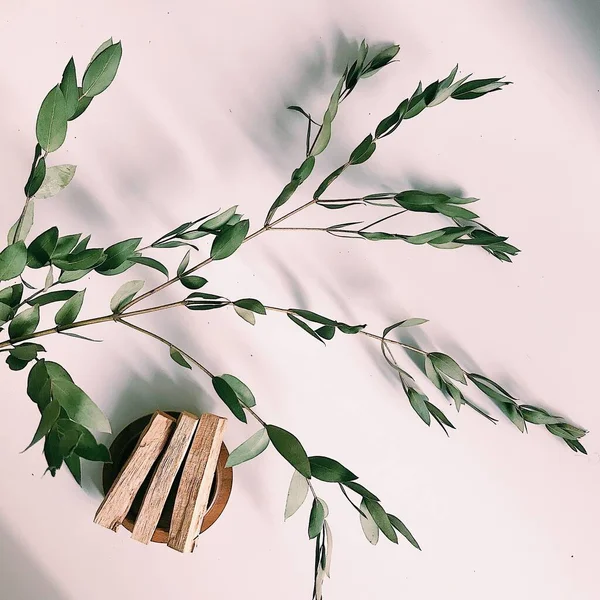 Hermoso Diseño Palo Santo Pega Sobre Fondo Neutro Con Hojas — Foto de Stock