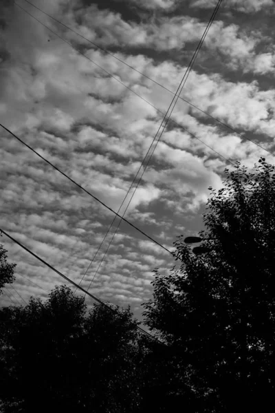 Black White Landscape Sky Wires — Φωτογραφία Αρχείου