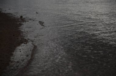 Baltık Denizi 'nin siyah ve beyaz suları