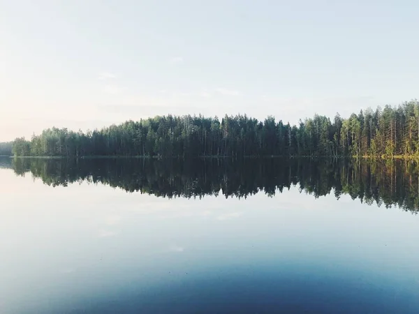 Natural Landscape Forest Lake Sunset — Stock Photo, Image