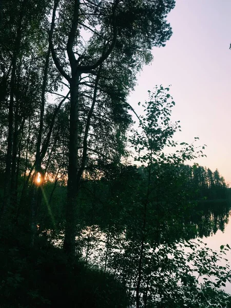 Природний Ландшафт Ліс Озеро Заході Сонця — стокове фото