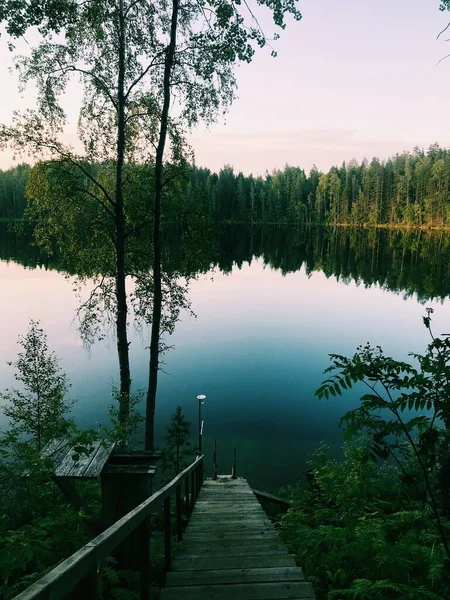 Naturlandskap Skog Och Sjö Vid Solnedgången — Stockfoto