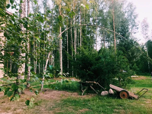 Πράσινο Πεδίο Καλοκαίρι Στη Ρωσία — Φωτογραφία Αρχείου