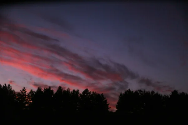 Schöner Sonnenuntergang Die Sonne Geht Über Dem Horizont Unter — Stockfoto