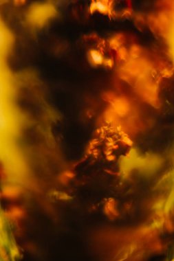 bitkilerin sarı soyut makro arka planı, yumuşak odaklanma