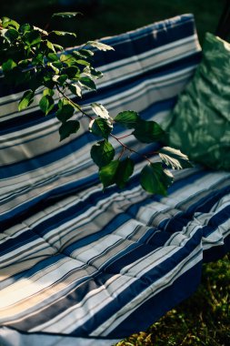 yeşil yaz arka planı, çimenler ve yapraklar, yumuşak odak