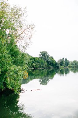 Rus tarlalarının yaz manzarası ve açık alanlar, güzel manzara.