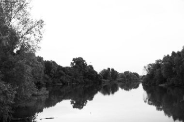 siyah ve beyaz güzel doğal manzara
