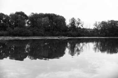 Sonbahar manzarası, parkta bir bank.