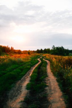 Güzel gün batımı, güneş ufukta batıyor.