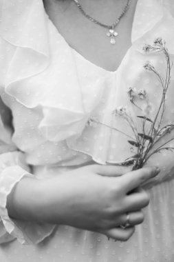 Bir bitkinin el ve dalı, siyah ve beyaz estetik, güzel bulanık yumuşak odak