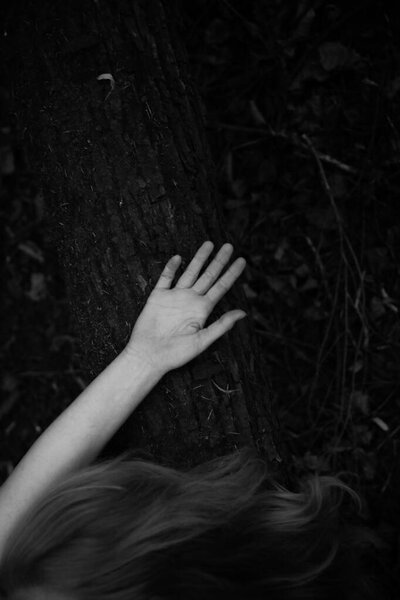 a hand touches the bark of a tree, a close angle of man and nature, art black and white photo