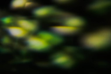 soyut yeşil bokeh arkaplan, bir ışık ve parıltı oyunu, gerçek bir yumuşak odak arkaplanı